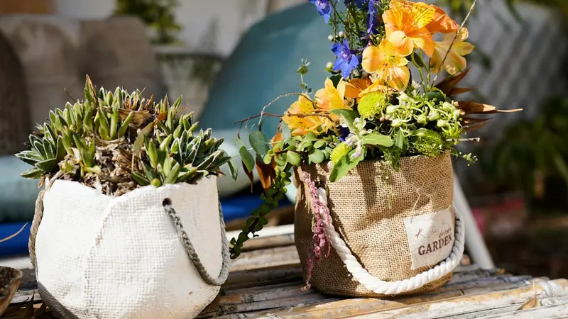 Container Vegetable Gardening for Beginners