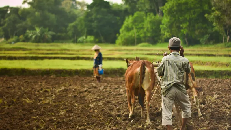 Young Farmers Redefine Sustainable Agriculture
