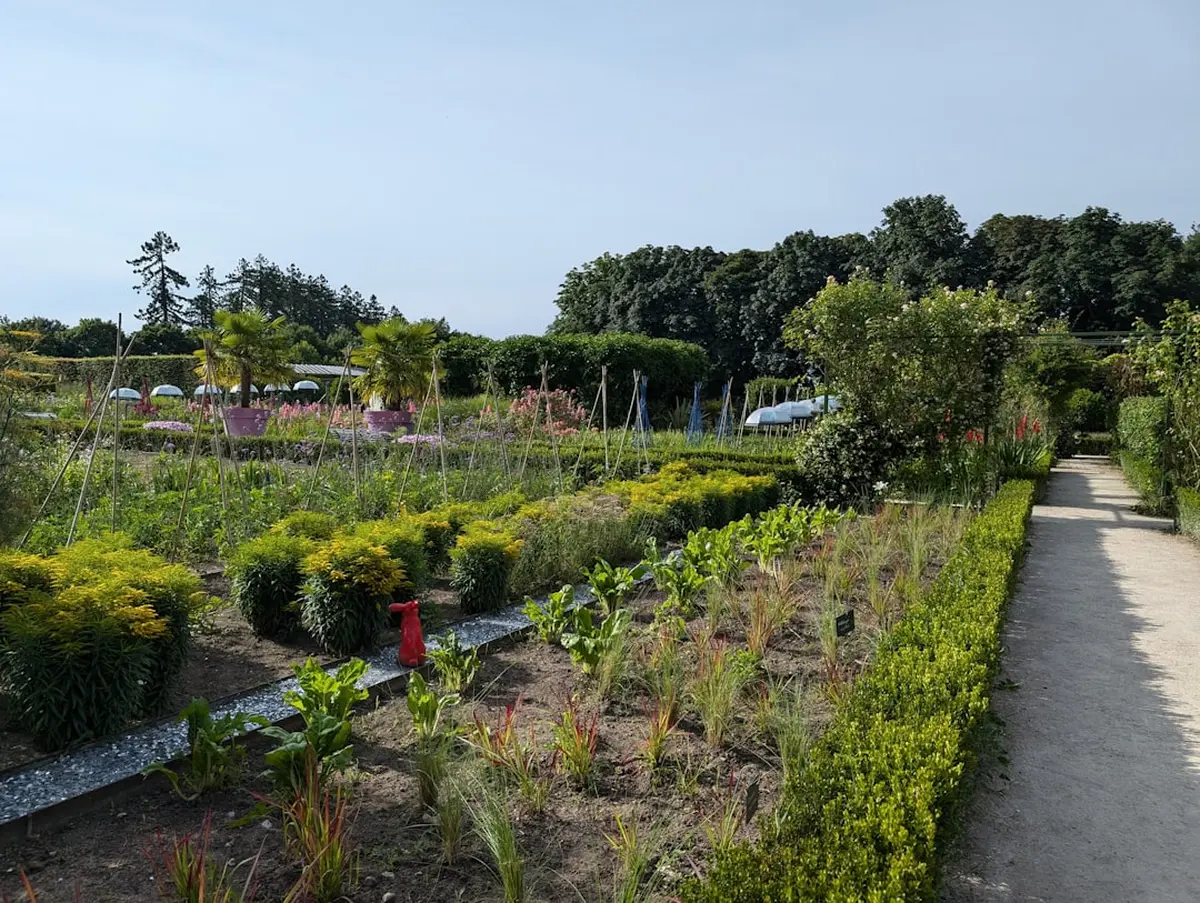 Companion Planting Secrets Soil Microbiome Decoded