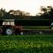 The History of Farmer's Delight Plantation in Loudoun County Virginia