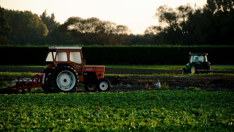 The History of Farmer's Delight Plantation in Loudoun County Virginia