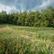 Hidden Gem Crops Farmers Grow
