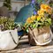 Container Vegetable Gardening for Beginners