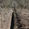 How to Plant Fall Cover Crops When Half the Country Is in Drought