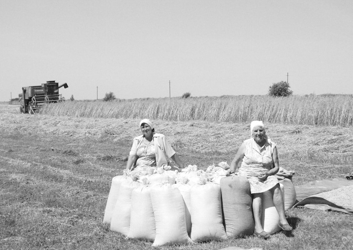 Family Farm Succession Secrets