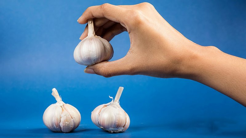 Plant Garlic Now Your First Fall Garden Bed Will Thank You