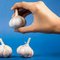Plant Garlic Now Your First Fall Garden Bed Will Thank You