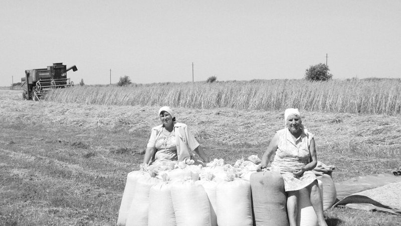 Family Farm Succession Secrets