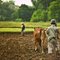 Young Farmers Redefine Sustainable Agriculture