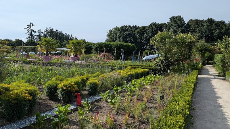 Companion Planting Secrets Soil Microbiome Decoded